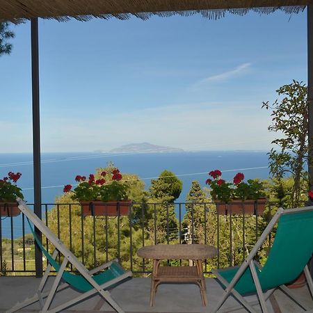 Le Ginestre Di Capri Bb & Holiday House Анакапрі Екстер'єр фото