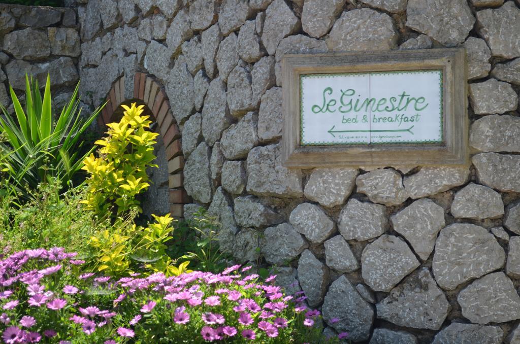 Le Ginestre Di Capri Bb & Holiday House Анакапрі Екстер'єр фото
