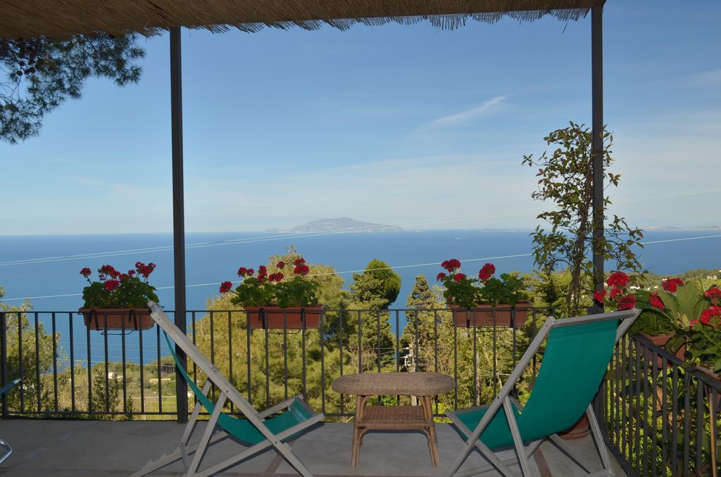 Le Ginestre Di Capri Bb & Holiday House Анакапрі Екстер'єр фото