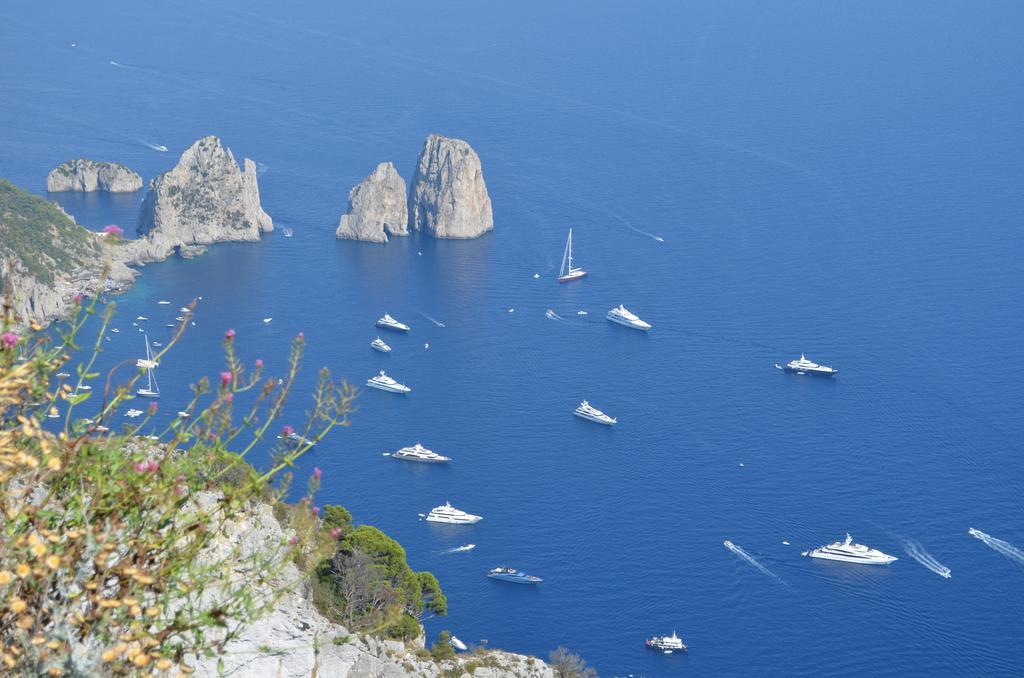 Le Ginestre Di Capri Bb & Holiday House Анакапрі Екстер'єр фото