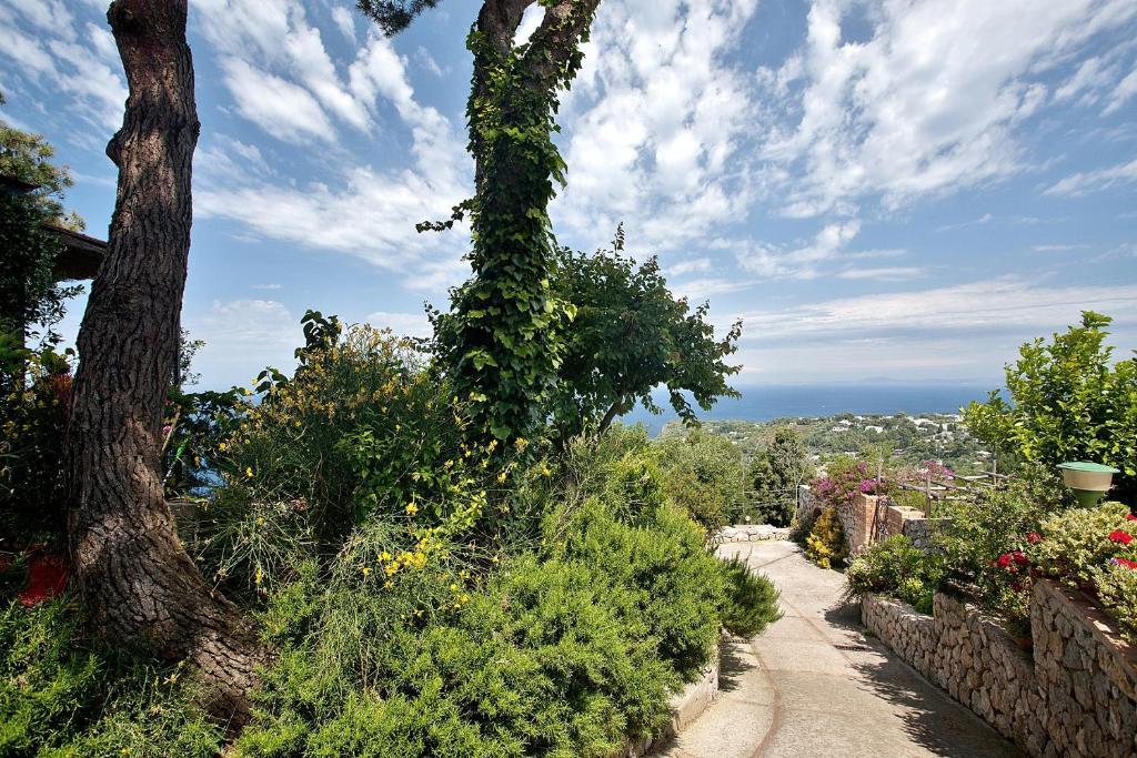 Le Ginestre Di Capri Bb & Holiday House Анакапрі Екстер'єр фото